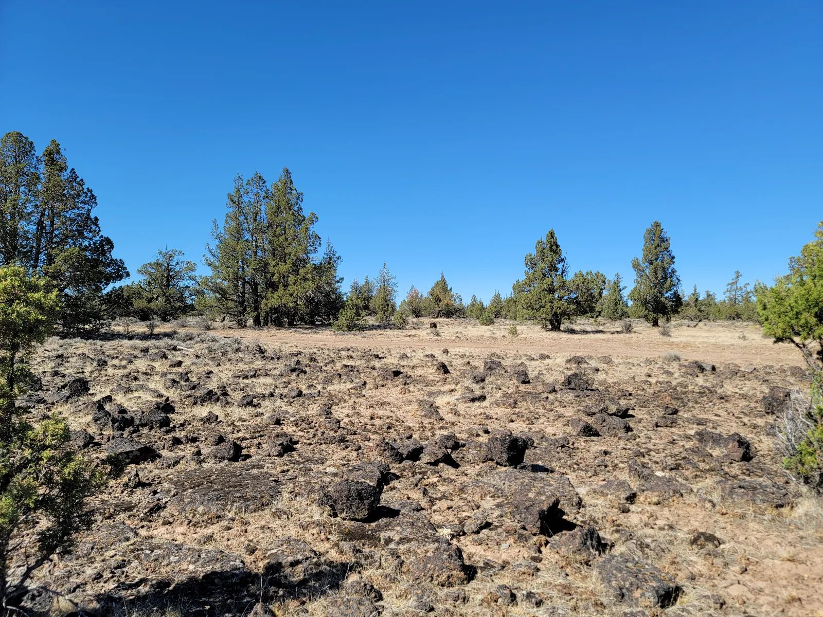 Great Remote California Land Near Alturas in Modoc County, CA