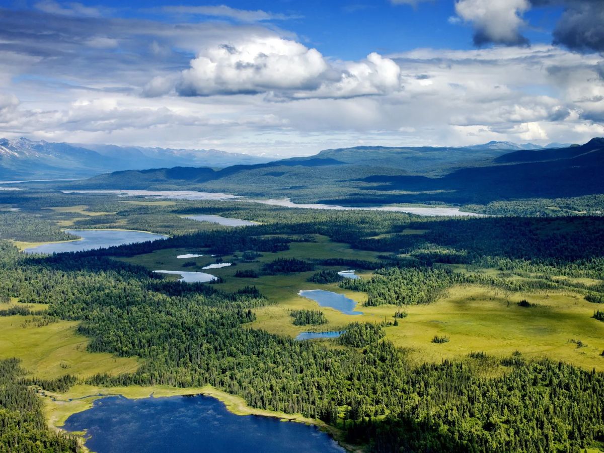 Decorative background for Beautiful Secluded Alaska Land image 7