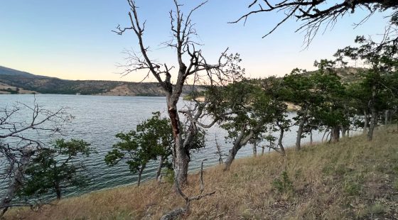 Klamath River Waterfront in Siskiyou County, CA