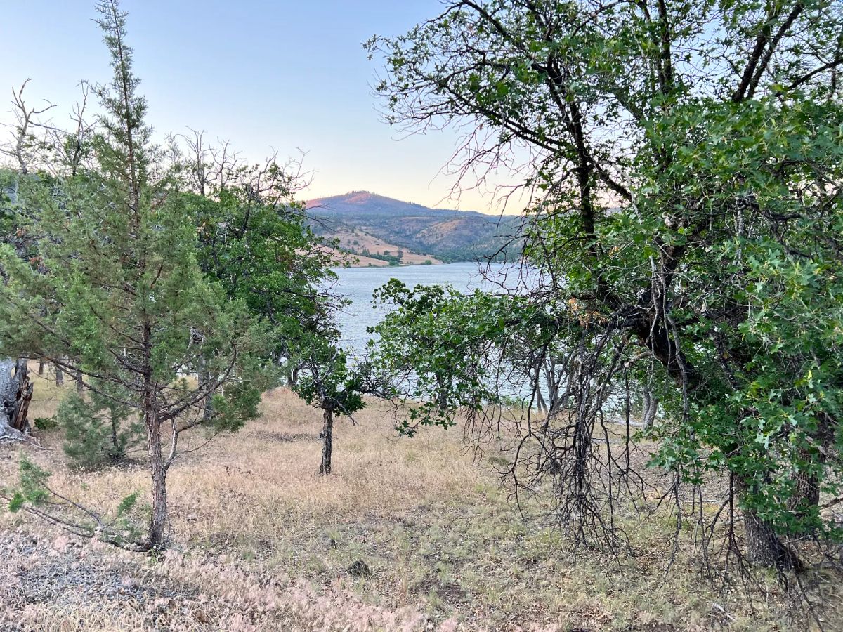 Decorative background for Klamath River Waterfront image 7