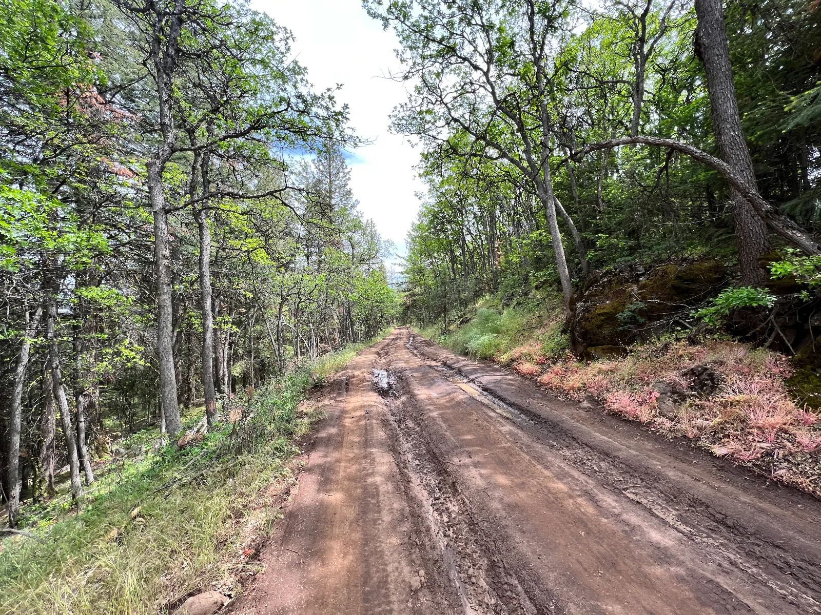 Wooded Property in Siskiyou County, CA