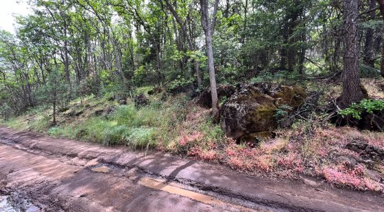 Wooded Property in Siskiyou County, CA