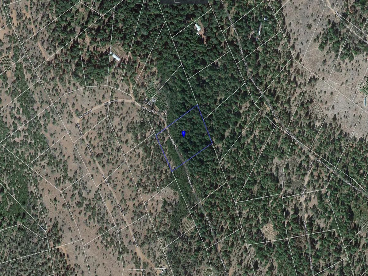 Decorative background for Wooded Property image 16