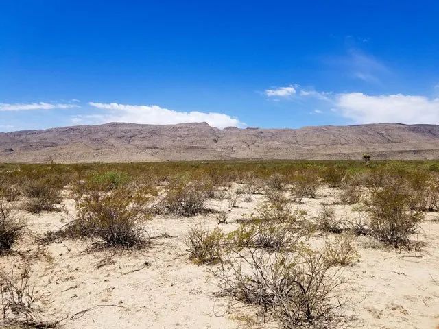 Decorative background for Quiet, Easy Access to Interstate 10 image 5
