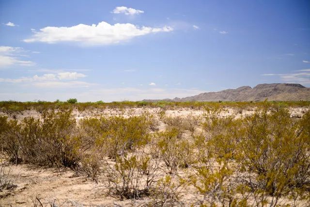 Decorative background for Quiet, Easy Access to Interstate 10 image 6