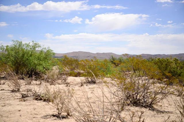 Decorative background for Quiet, Easy Access to Interstate 10 image 8