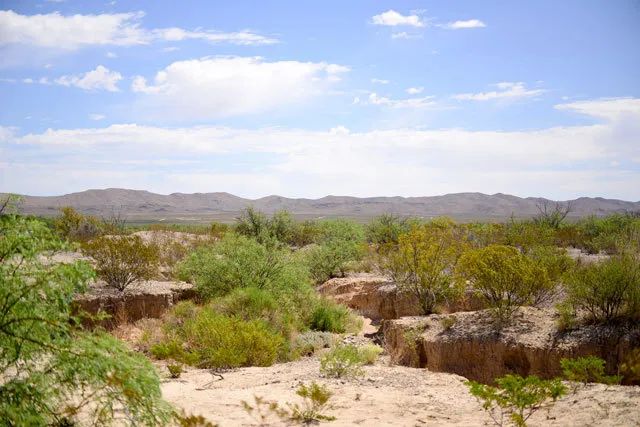 Decorative background for Quiet, Easy Access to Interstate 10 image 9