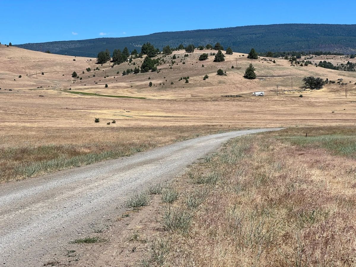 Near Iron Gate Reservoir, Great Recreation - Image 2