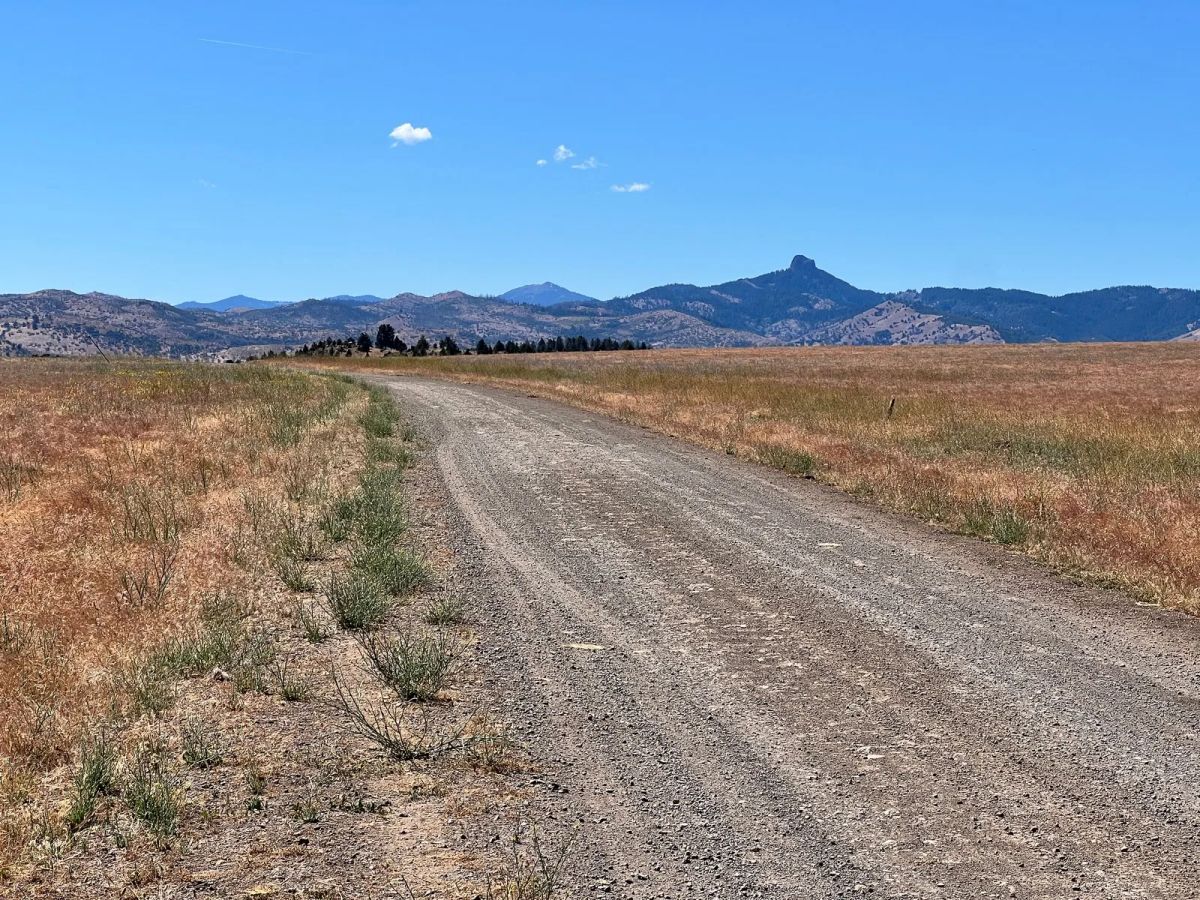 Decorative background for Near Iron Gate Reservoir, Great Recreation image 5