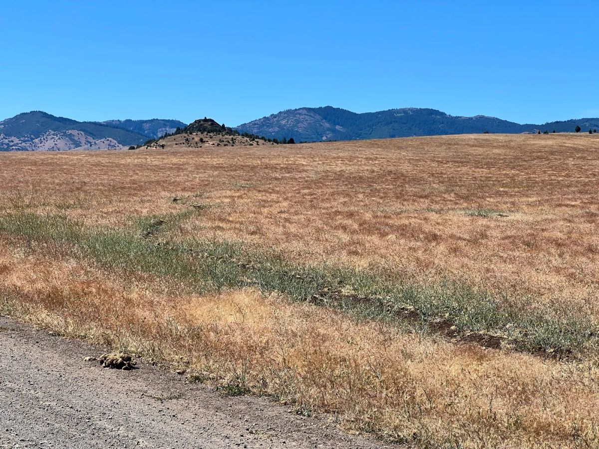 Decorative background for Near Iron Gate Reservoir, Great Recreation image 6
