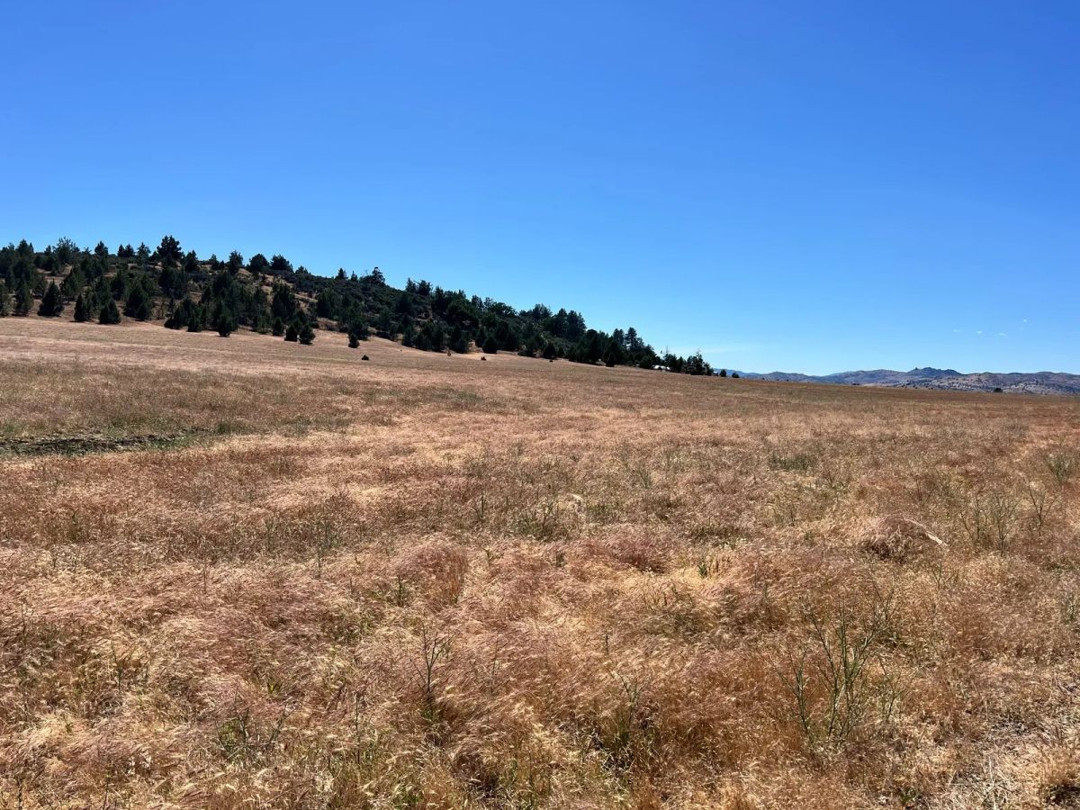 Decorative background for Near Iron Gate Reservoir, Great Recreation image 12