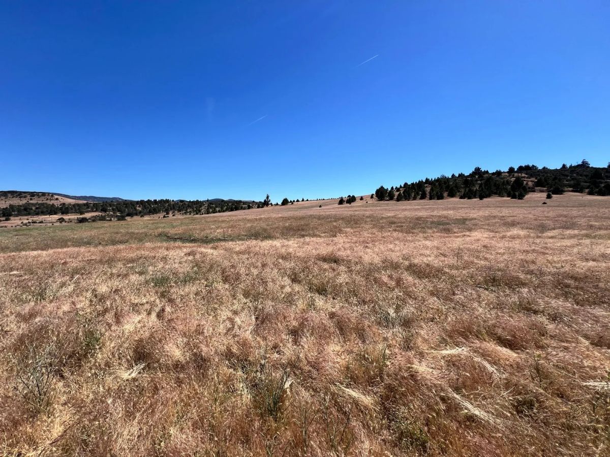 Decorative background for Near Iron Gate Reservoir, Great Recreation image 13