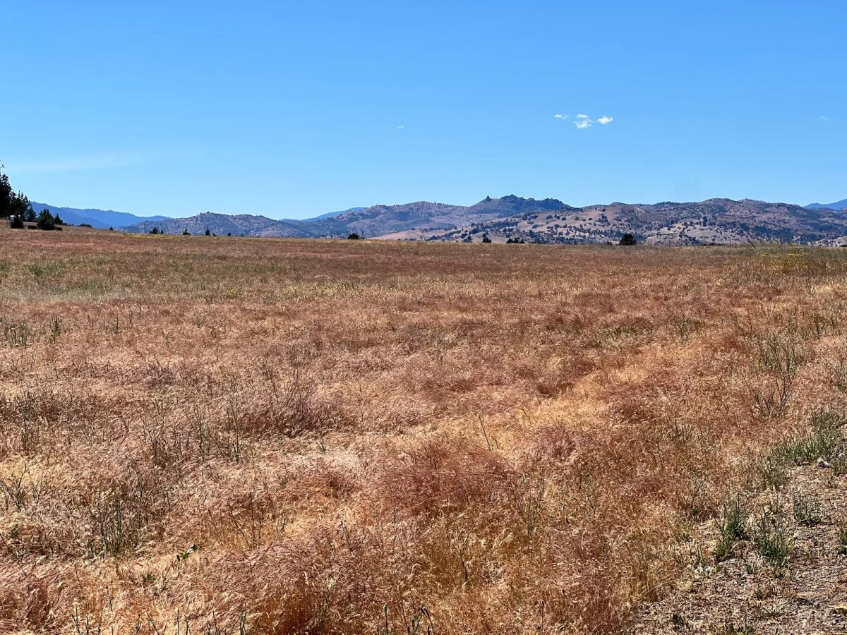 Decorative background for Near Iron Gate Reservoir, Great Recreation image 14