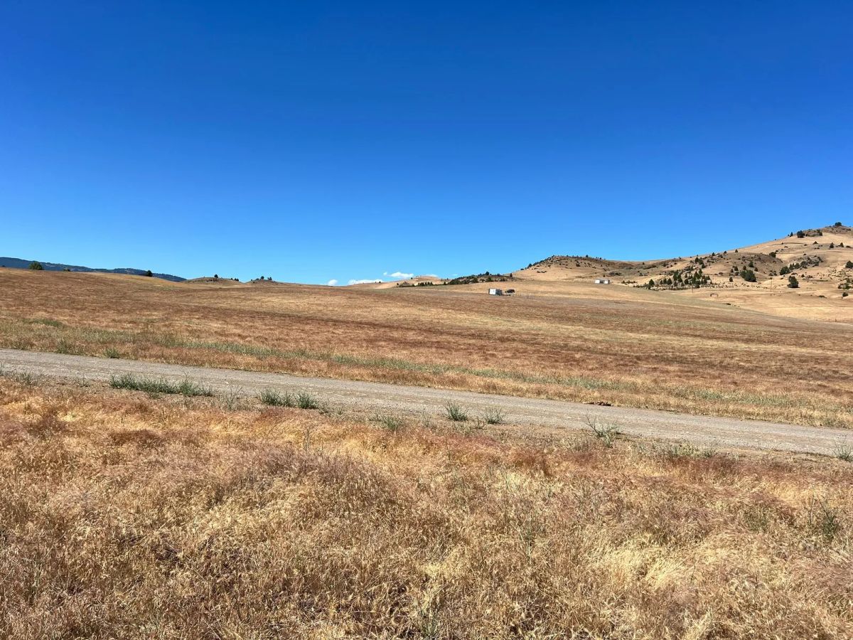 Decorative background for Near Iron Gate Reservoir, Great Recreation image 15