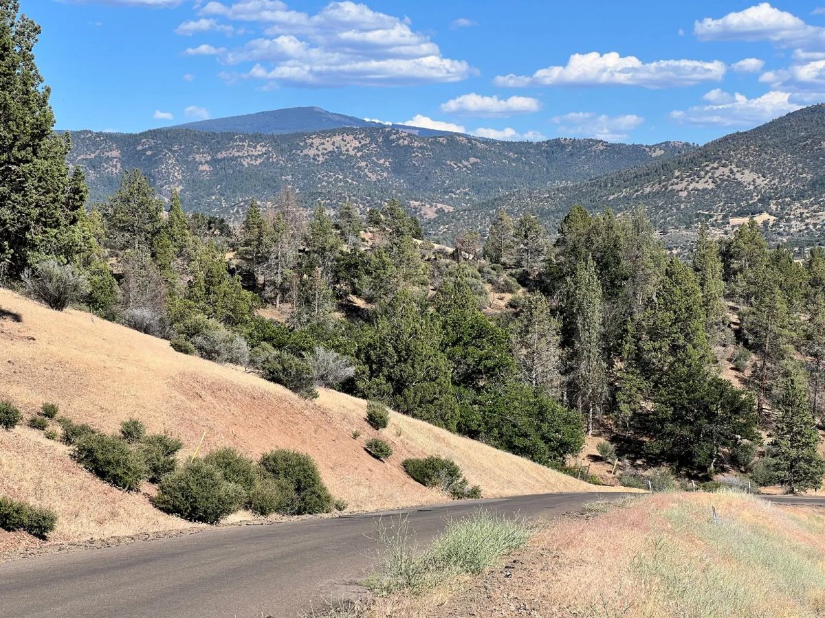 California Land in Klamath River Country Estates - Image 3
