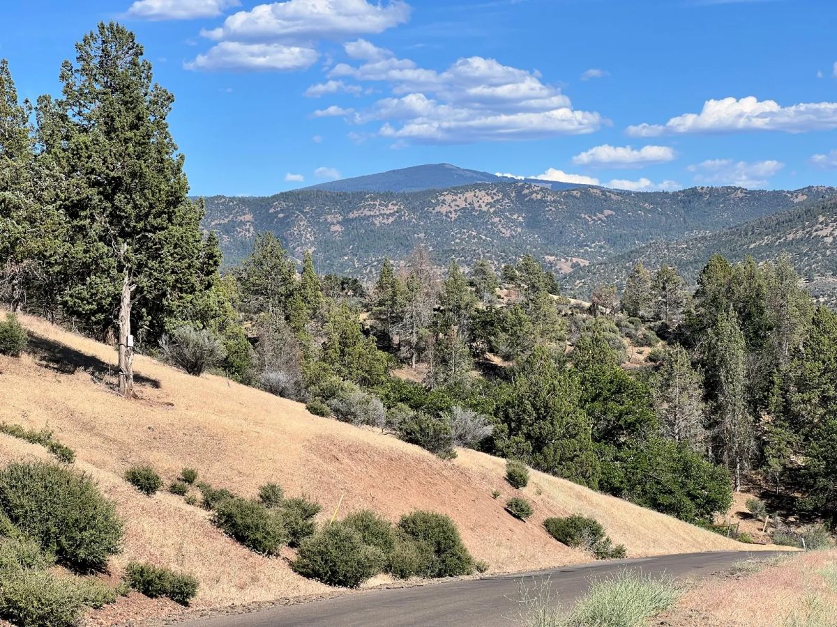 Decorative background for California Land in Klamath River Country Estates image 5