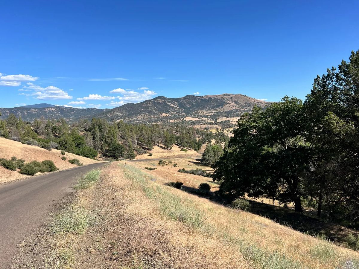 Decorative background for California Land in Klamath River Country Estates image 6