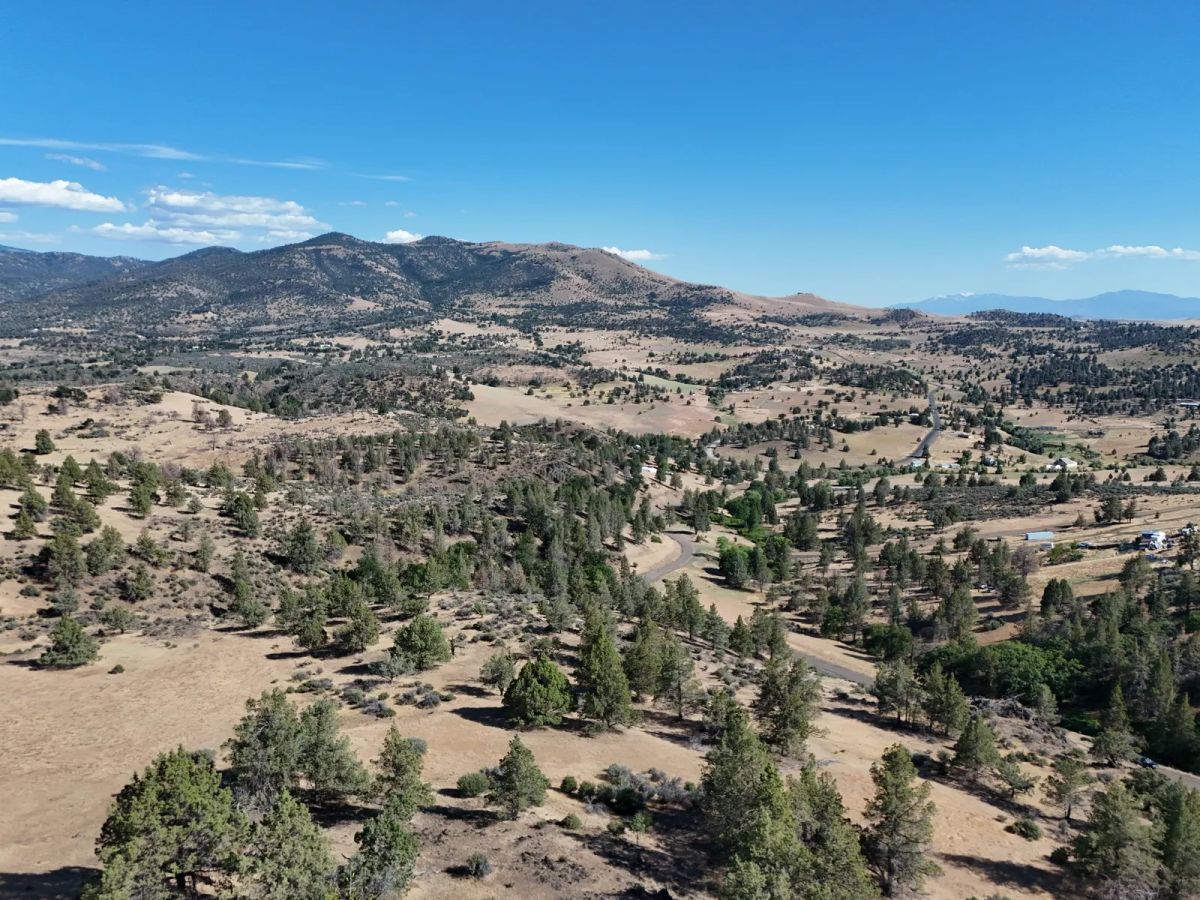 Decorative background for California Land in Klamath River Country Estates image 13