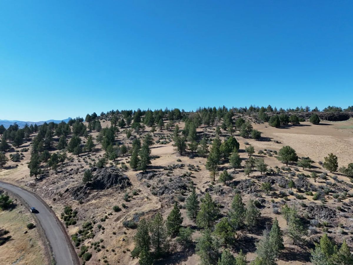 Decorative background for California Land in Klamath River Country Estates image 17