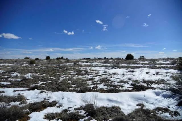 Open Range, Historical Area in Cibola County, NM