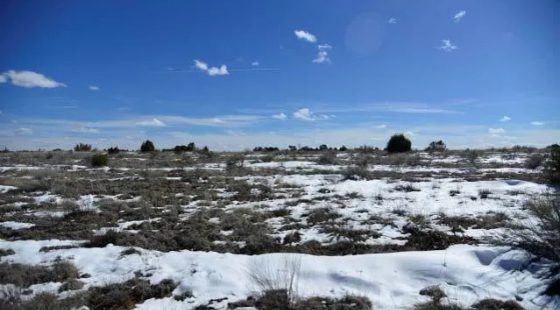Open Range, Historical Area in Cibola County, NM