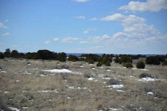 Open Range, Historical Area - Image 3