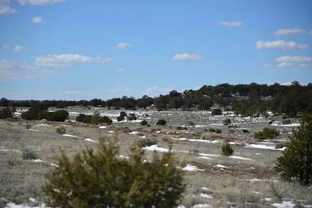Open Range, Historical Area - Image 4