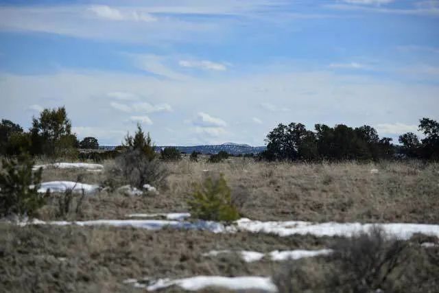 Decorative background for Open Range, Historical Area image 5