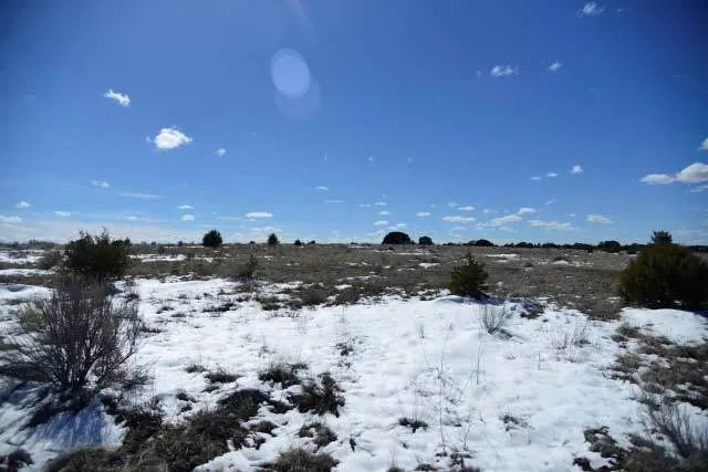 Decorative background for Open Range, Historical Area image 6