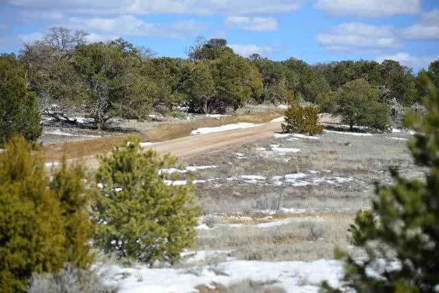 Decorative background for Open Range, Historical Area image 7