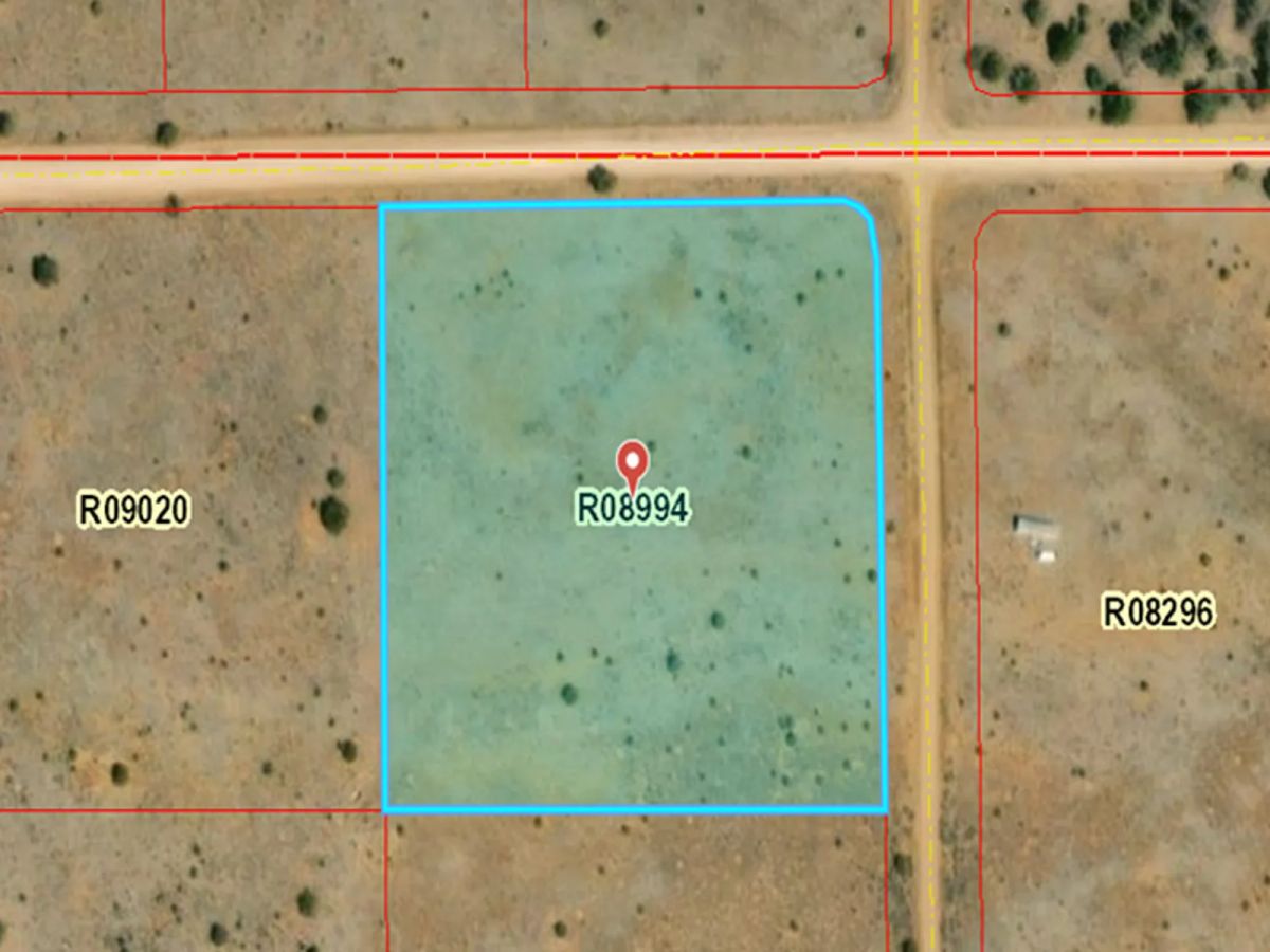 Decorative background for Open Range, Historical Area image 16
