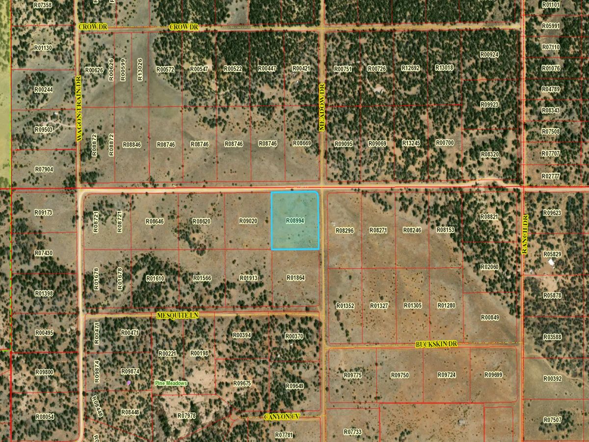 Decorative background for Open Range, Historical Area image 17