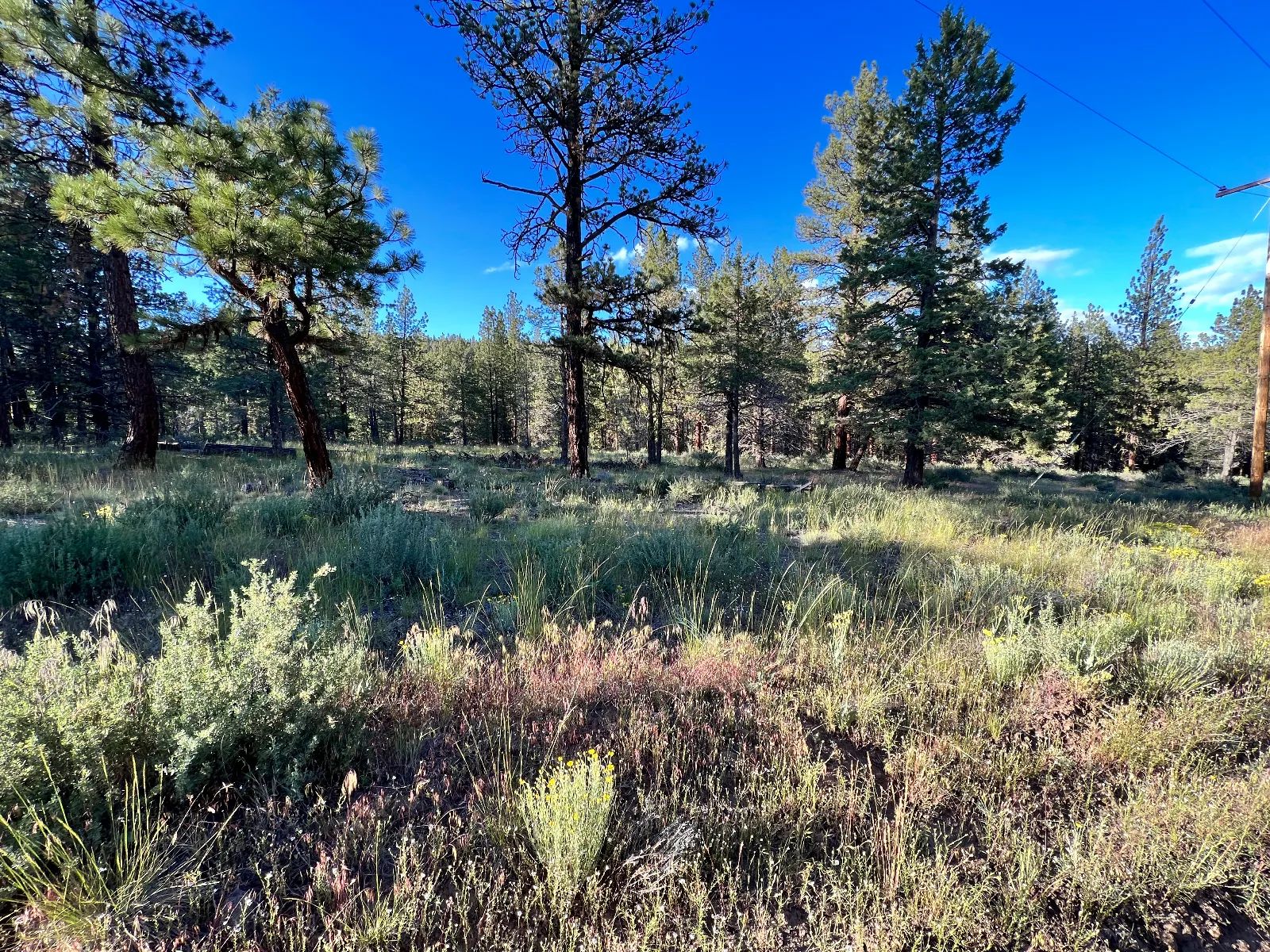 Northern California Land for Sale by Owner – Affordable Prices in Siskiyou County, CA