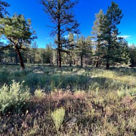 Northern California Land for Sale by Owner – Affordable Prices in Siskiyou County, CA