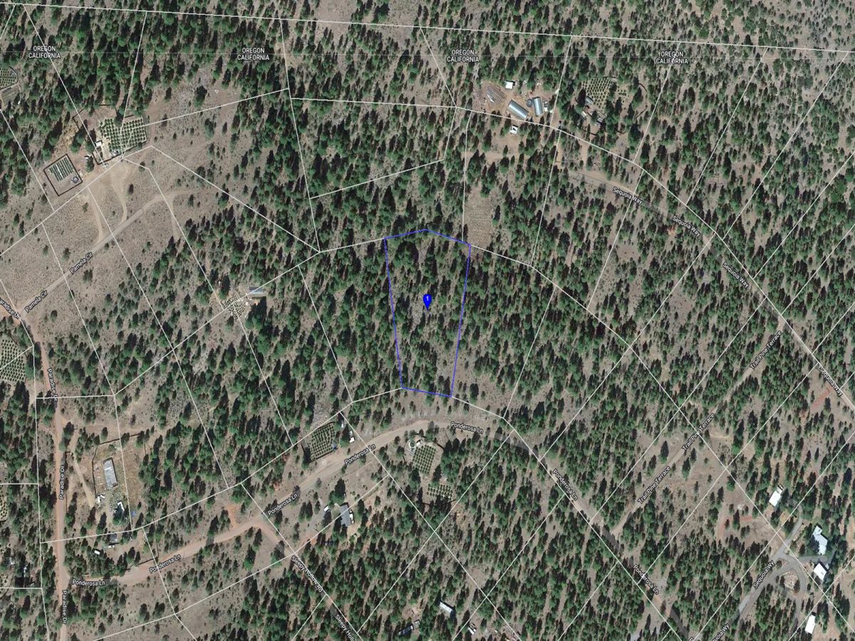 Decorative background for Northern California Land for Sale by Owner – Affordable Prices image 16