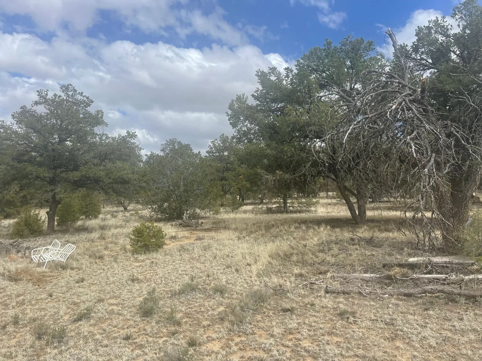 Vacant Land for Sale with Scenic Views – Great for Hiking, Fishing, and More in Cibola County, NM