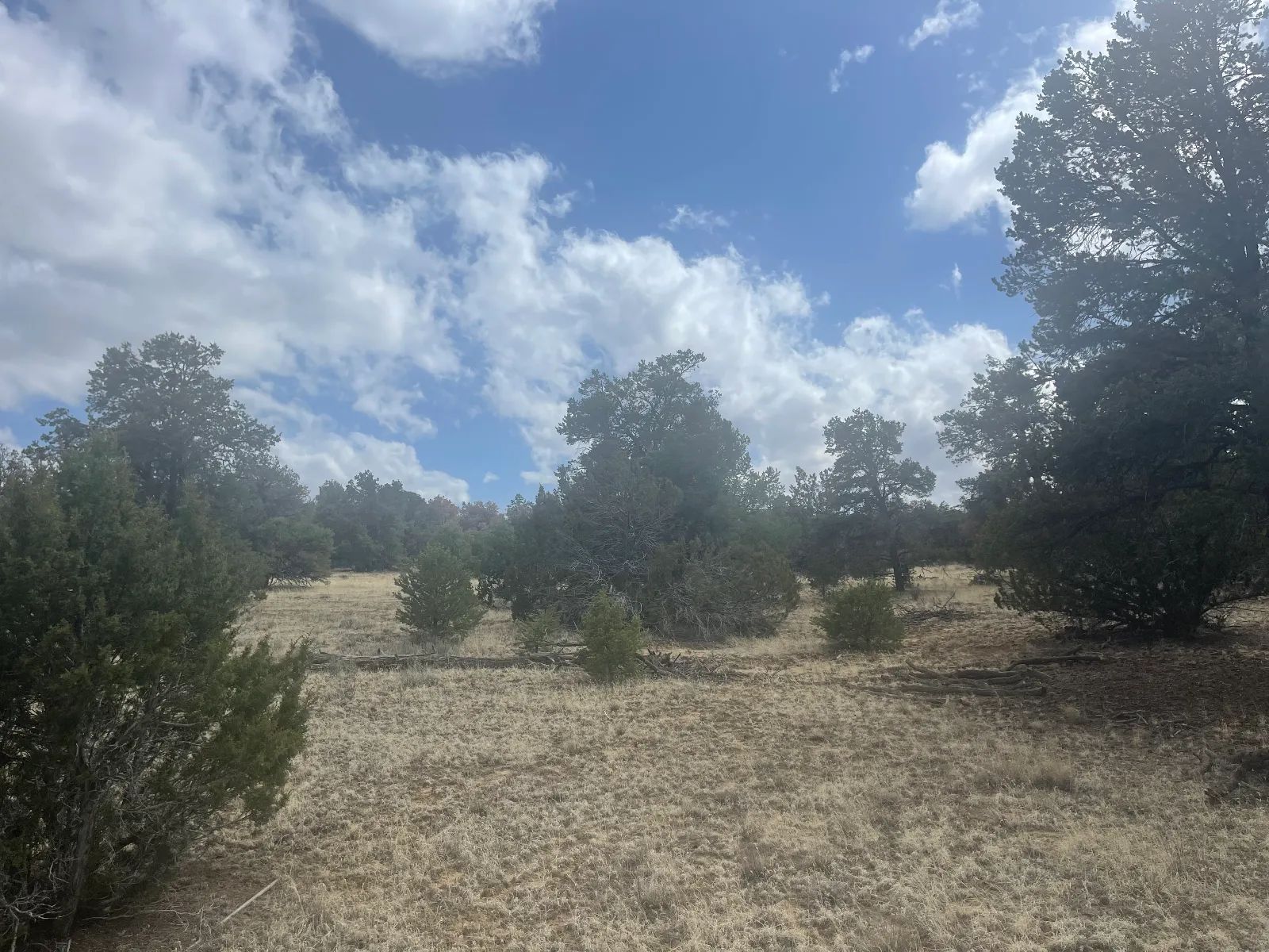 Vacant Land for Sale with Scenic Views – Great for Hiking, Fishing, and More in Cibola County, NM