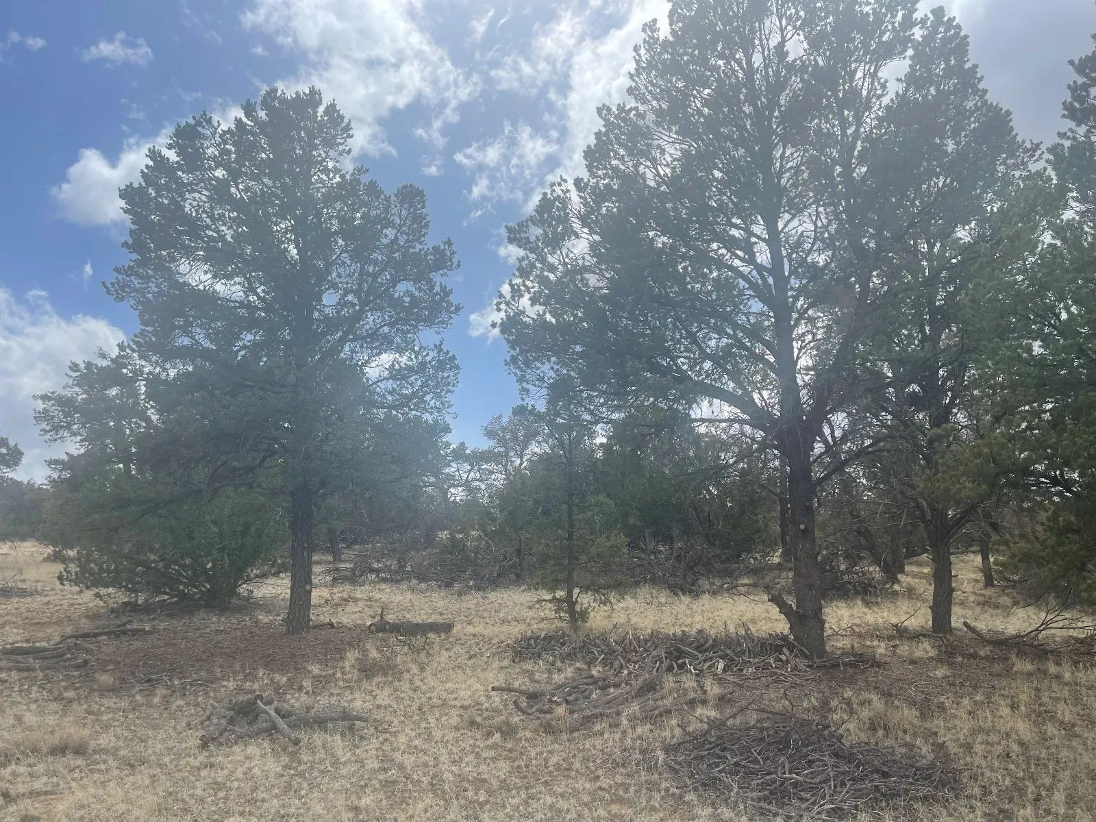 Vacant Land for Sale with Scenic Views – Great for Hiking, Fishing, and More in Cibola County, NM