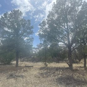 Vacant Land for Sale with Scenic Views – Great for Hiking, Fishing, and More in Cibola County, NM