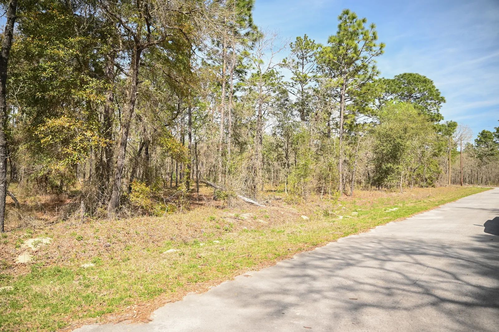 Paved Road, Power in Area in Marion County, FL