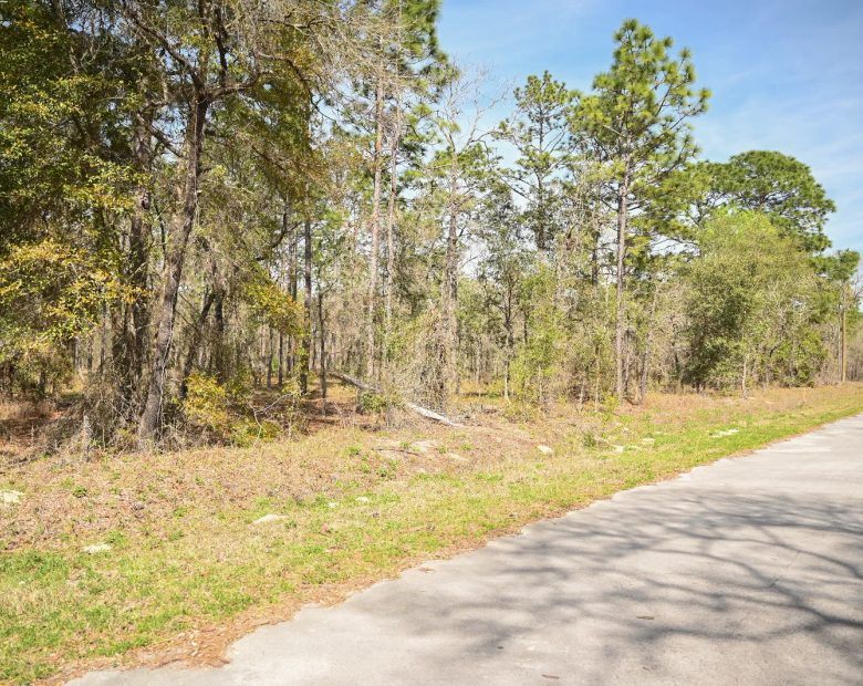Paved Road, Power in Area in Marion County, FL