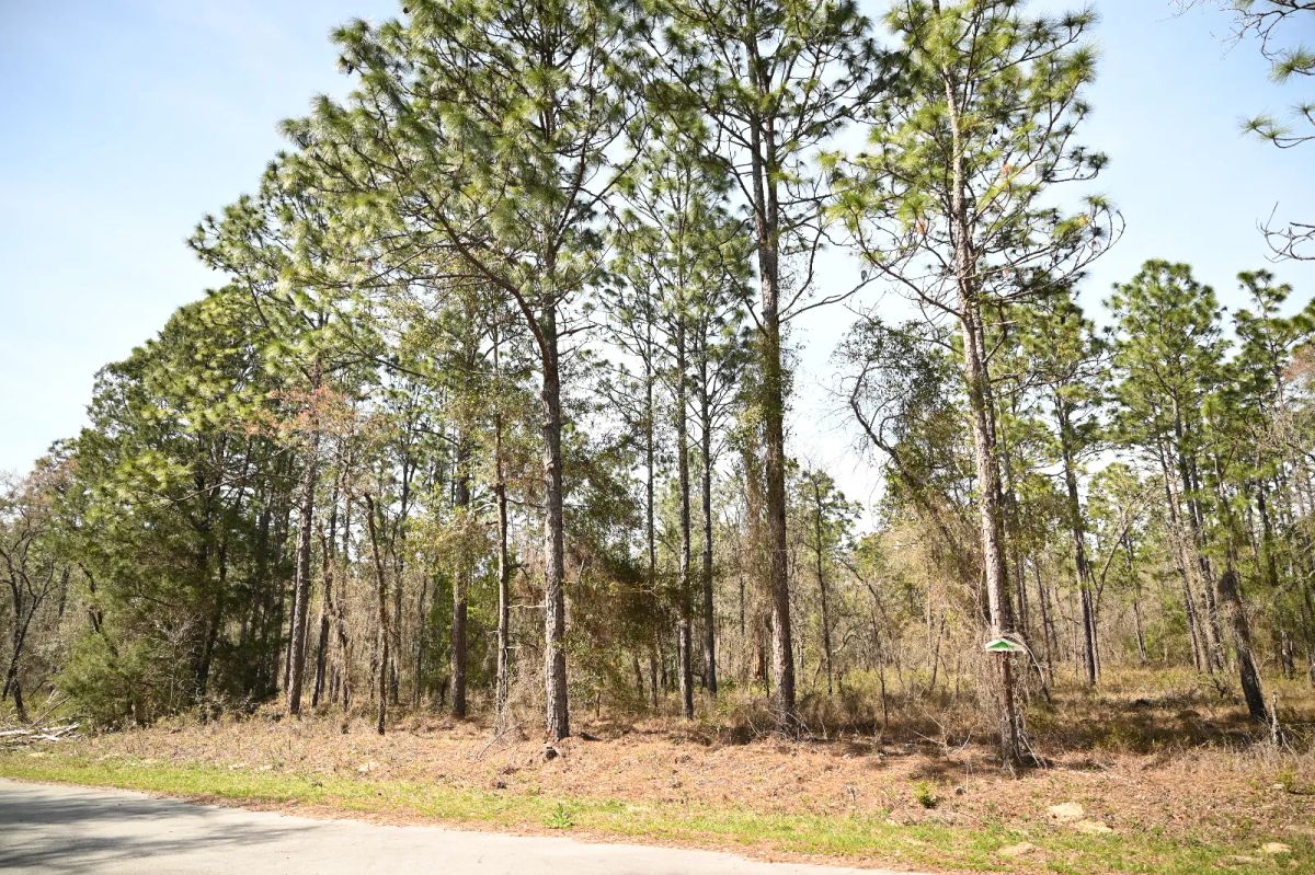 Paved Road, Power in Area - Image 2
