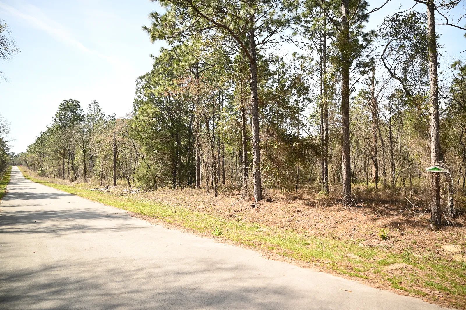 Paved Road, Power in Area in Marion County, FL