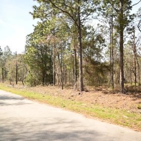 Paved Road, Power in Area in Marion County, FL