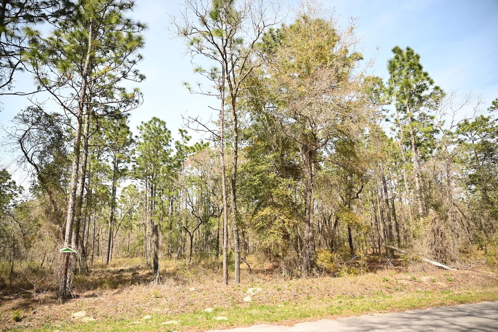 Paved Road, Power in Area in Marion County, FL