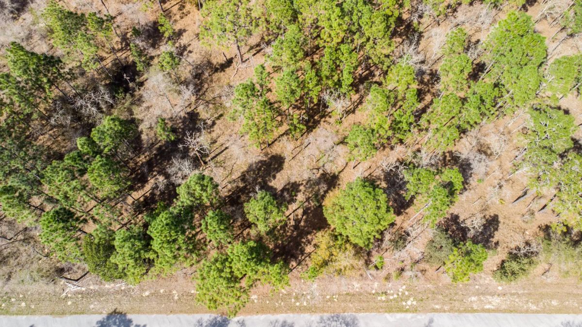 Decorative background for Paved Road, Power in Area image 8