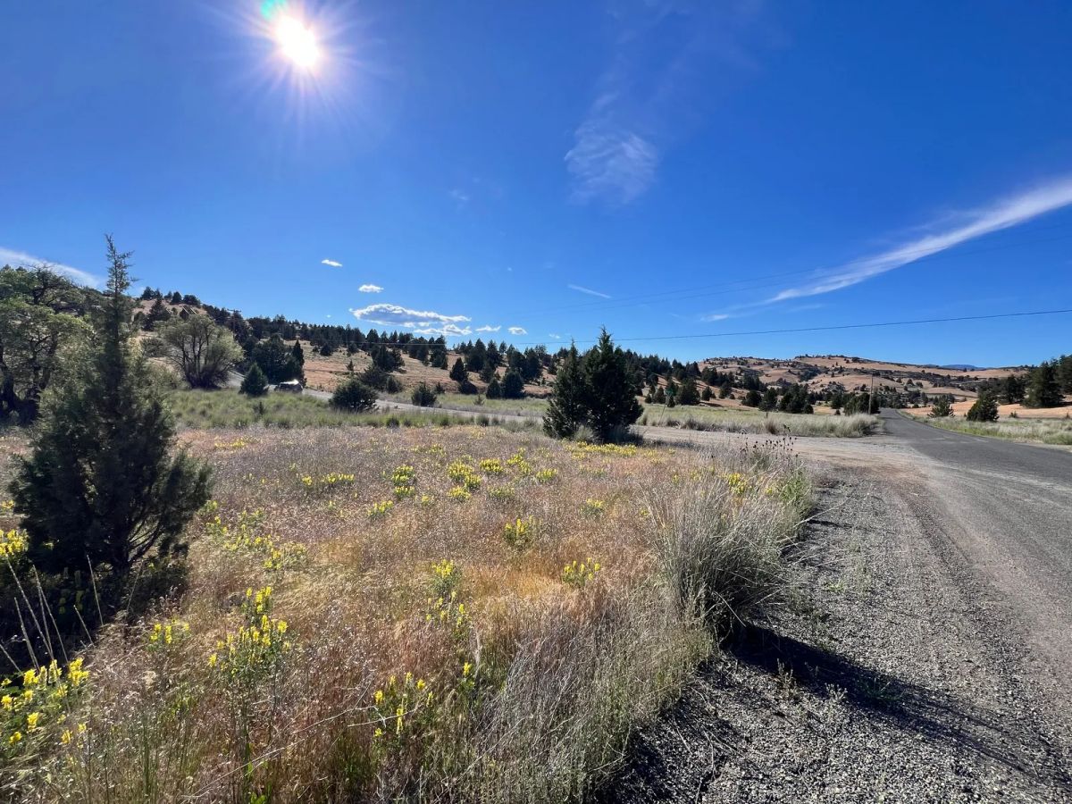 Decorative background for Paved Road, Power, Great Build/Retreat Location image 6