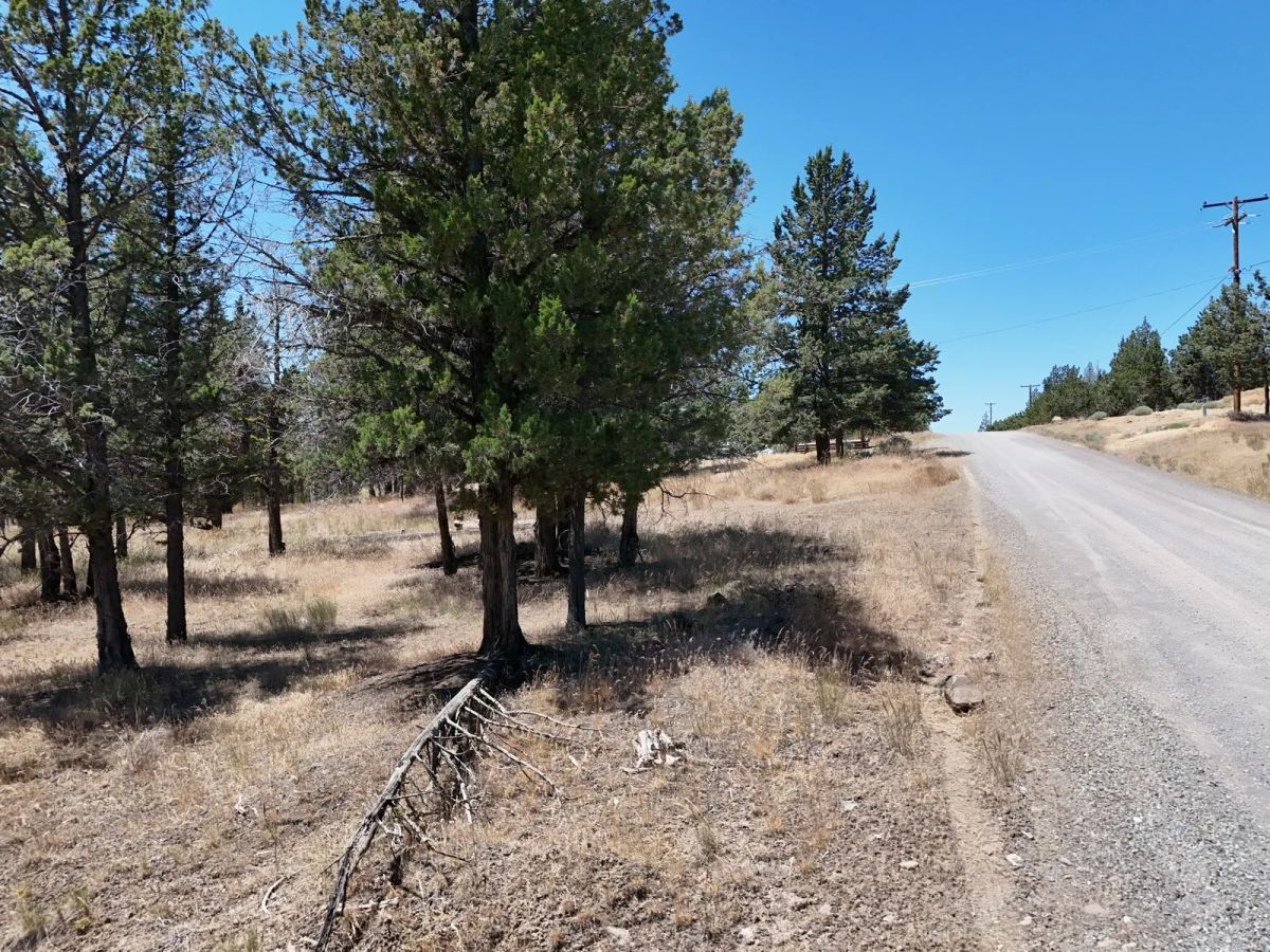 Power at the Street, Nice Gravel Road Access - Main image
