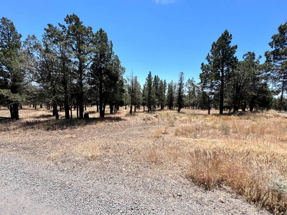 Decorative background for Power at the Street, Nice Gravel Road Access image 5
