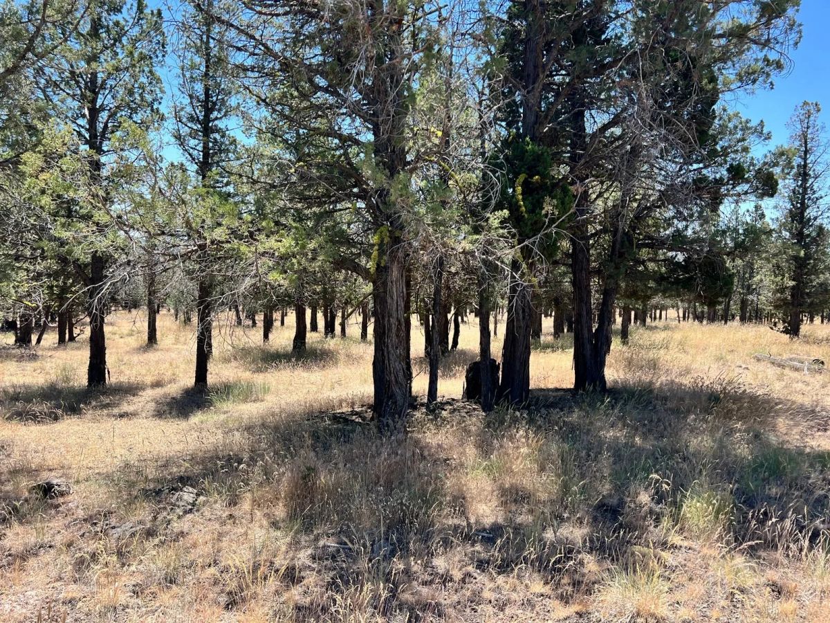 Decorative background for Power at the Street, Nice Gravel Road Access image 10